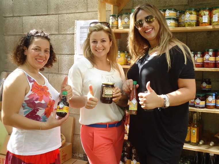 9th Annual Honey Harvest Event 